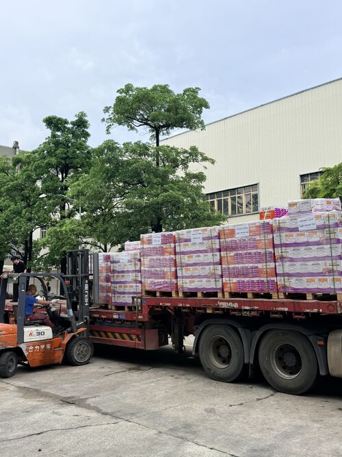 latest company news about Full Truckload Silicone Sealant Shipment Bound for Vietnam – Factory Loading Site Shot